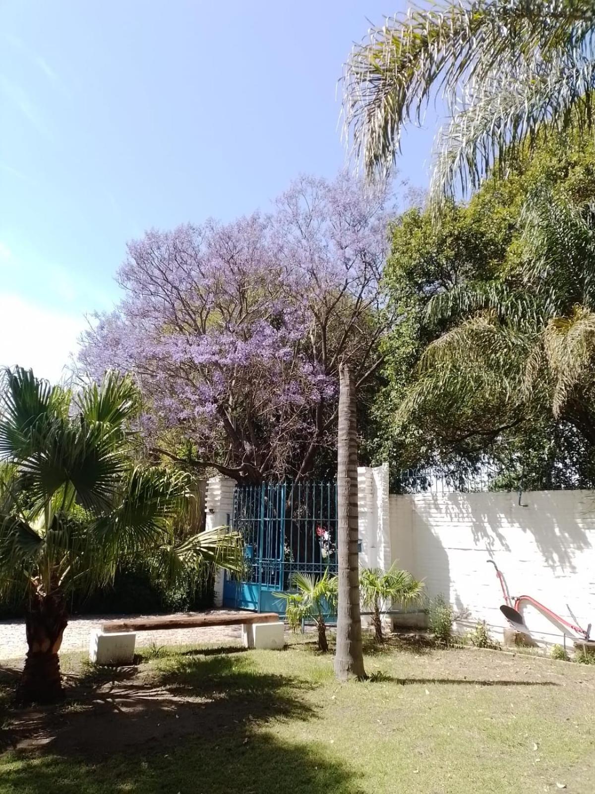 Apart Universidad Río Cuarto Dış mekan fotoğraf